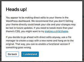 WordPress warning - editing theme