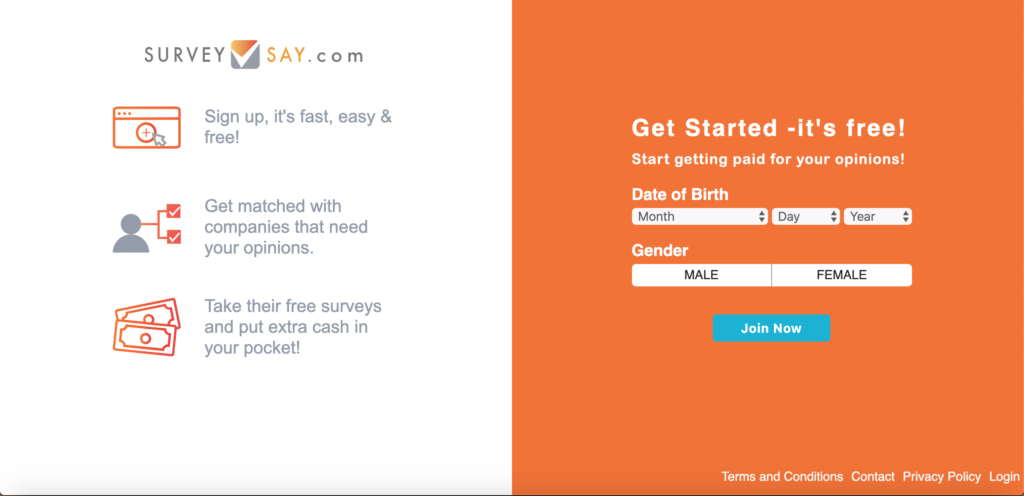 SurveySay Review