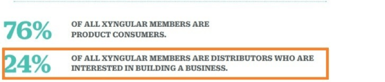 The number of distributors at Xyngular - 24%