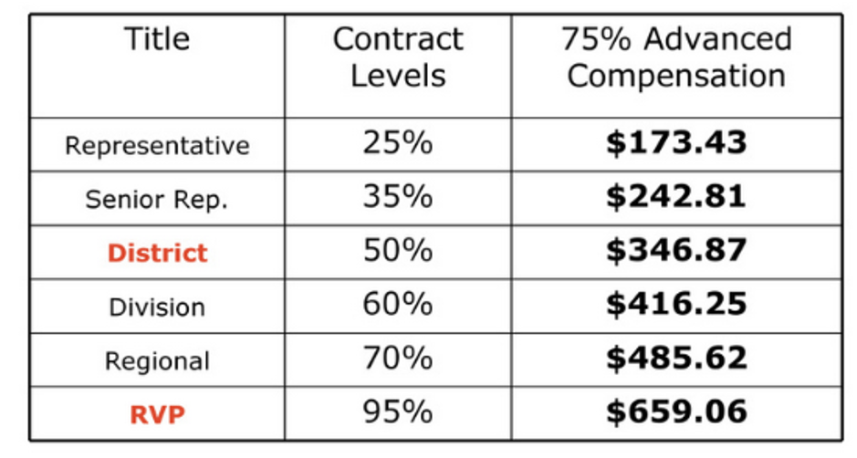 Primerica Business Opportunity Review Is Primerica a Pyramid Scheme