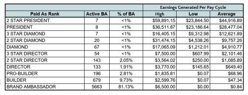 bydzyne income disclosure statement